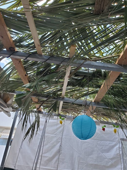 A beautiful sukkah showcasing the connection to nature and community during Sukkot