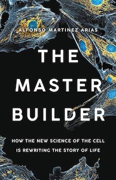 Cover of "The Master Builder"