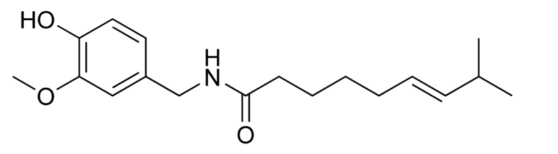 Chemical compound found in chili peppers