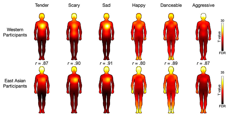 Visual representation of bodily sensations evoked by music