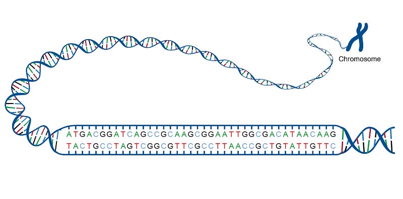 Understanding CRISPR's mechanism in gene editing