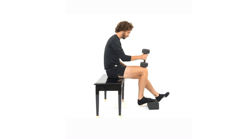 Seated Calf Raise with Weight Exercise