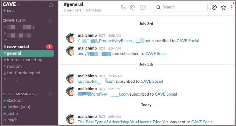 Mailchimp integration for marketing updates