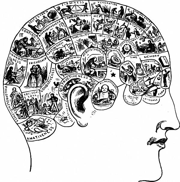 Complexity of human cognition