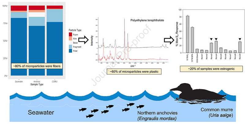 Graphical abstract illustrating microplastic findings.