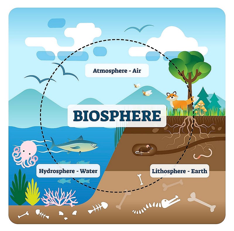 Illustration of environmental progress