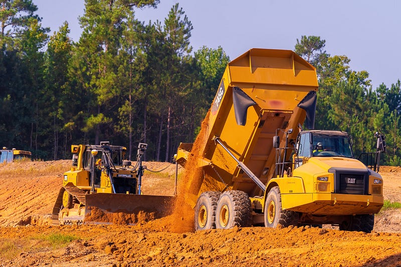 A forest being cleared for development.