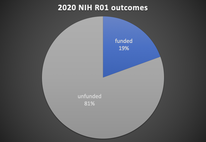 Graph depicting R01 application outcomes