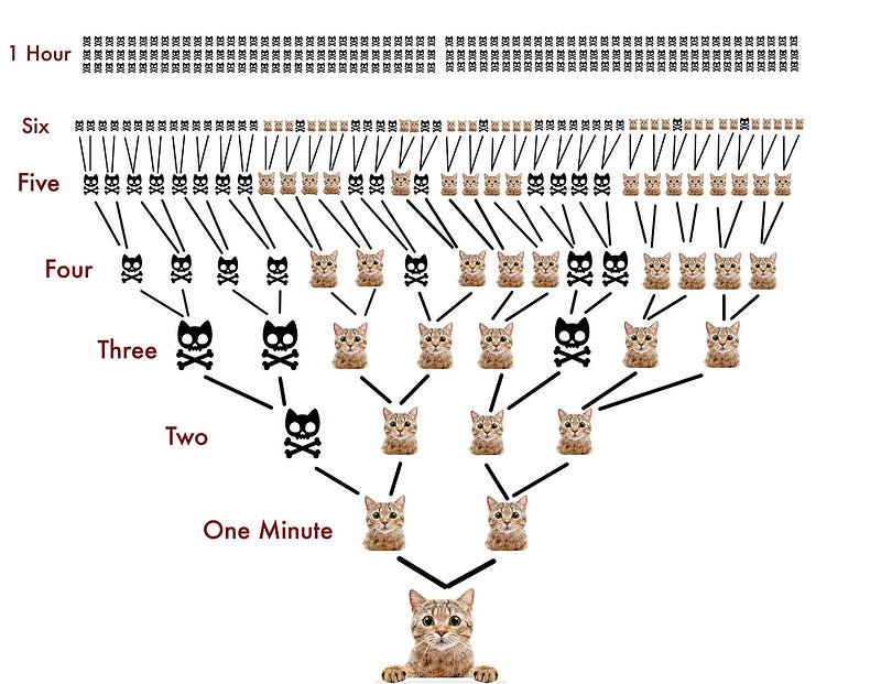 Image representation of Schrödinger's Cat thought experiment