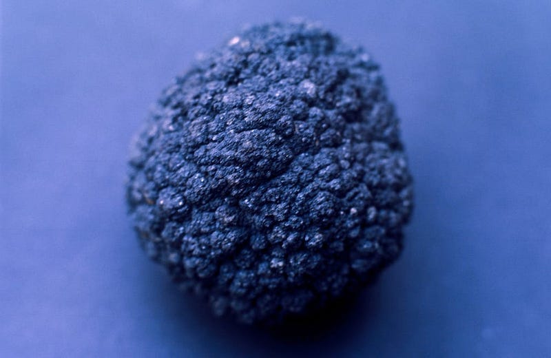 Polymetallic nodules on the ocean floor