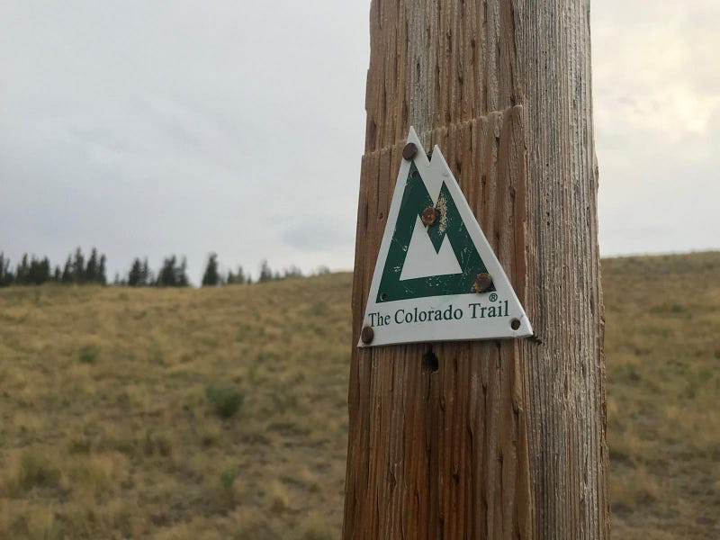 Colorado Trail blaze near the summit of Georgia Pass.