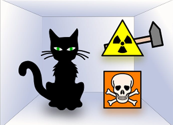 Symbolic setup of Schrödinger’s cat experiment